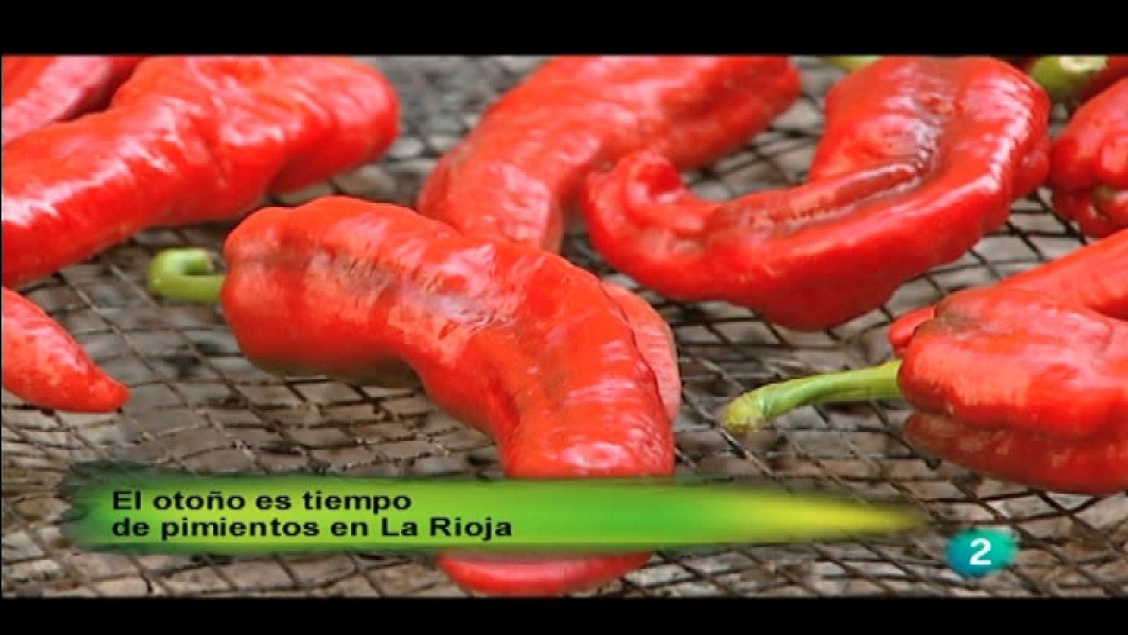 Agrosfera - 29/10/11 - Ver ahora