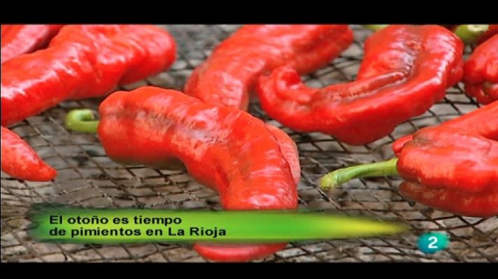 Agrosfera - Agrosfera - 29/10/11