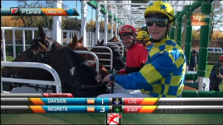 Turf - Turf. Carreras de caballos
