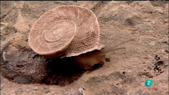 Biodiario - Biodiario - 30/10/11