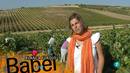 Babel En TVE: Las Otras Culturas Del Vino | RTVE Play