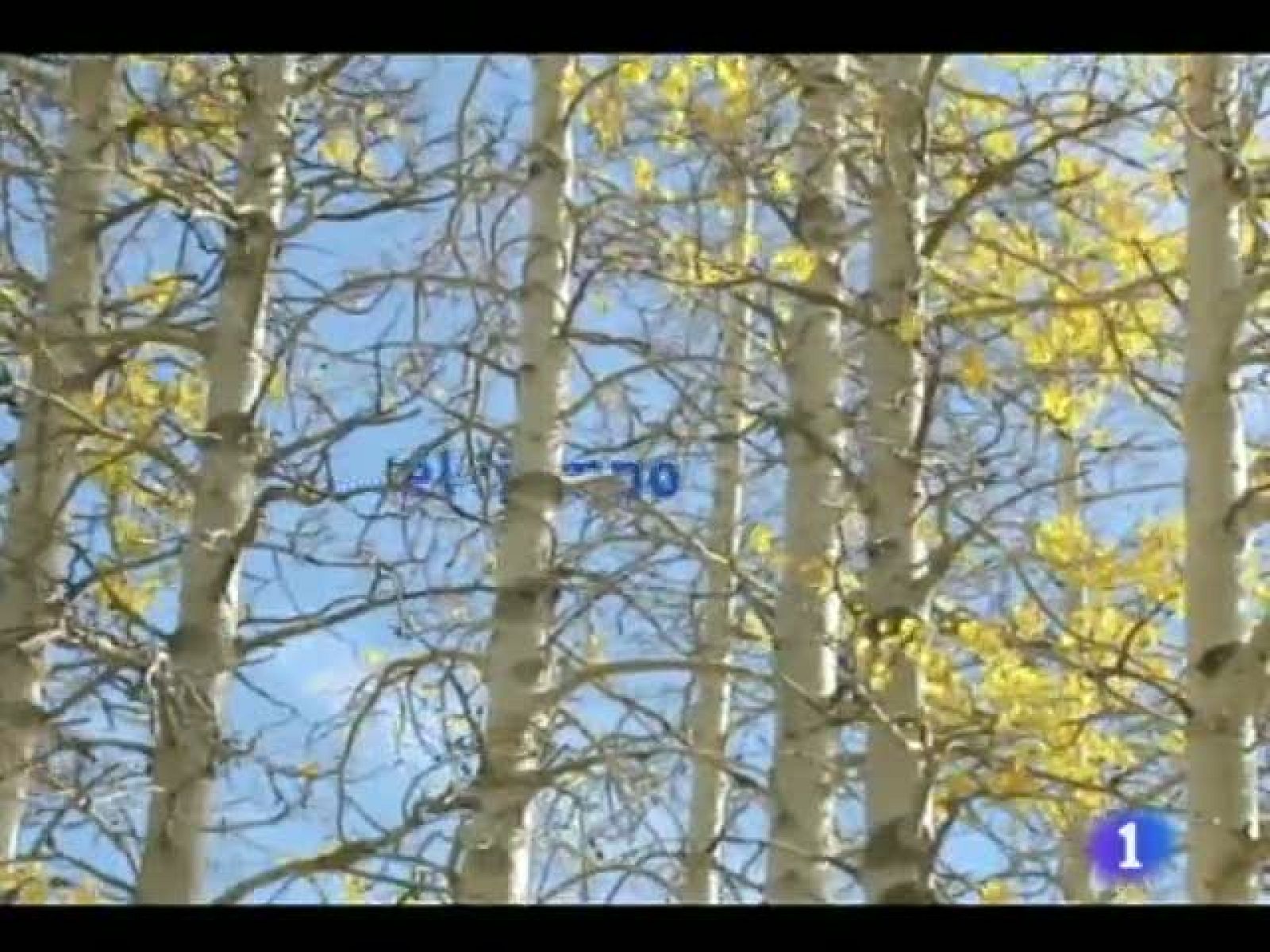 El tiempo en Castilla y León  - 31/10/11