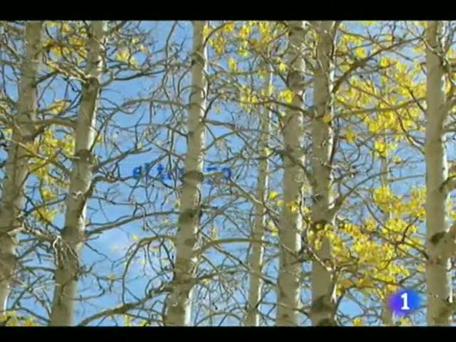 El tiempo en Canarias - 31/10/11 | Ver