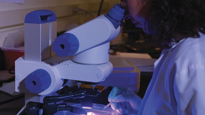 Telediario 1 - Brote de malaria en Grecia