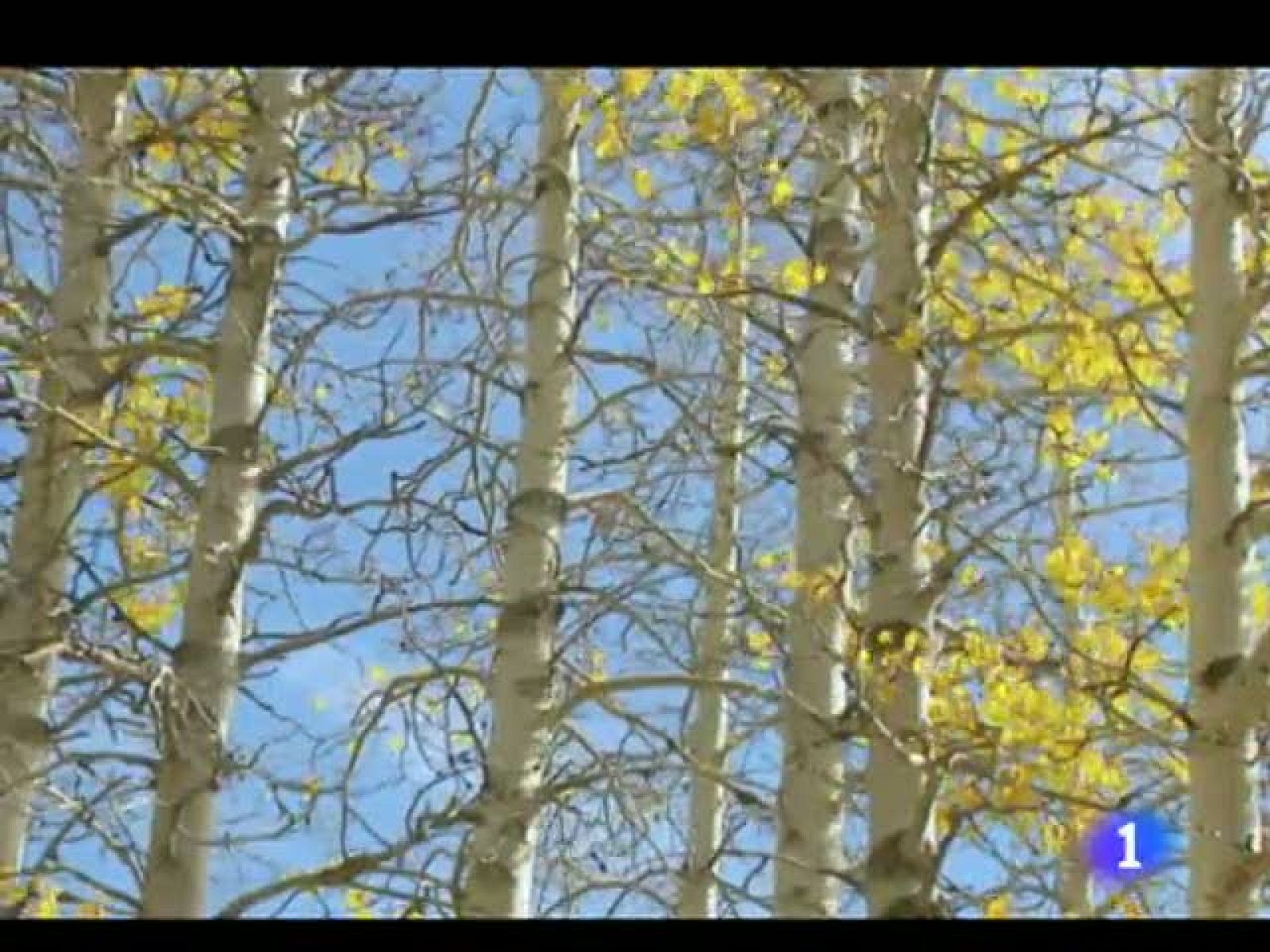 El tiempo en La Rioja - 02/11/11 | Ver