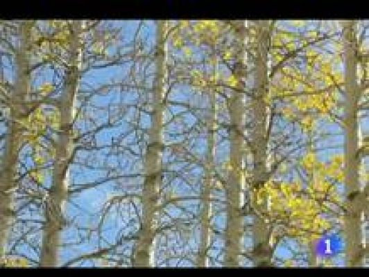 Informativo Telerioja - El tiempo en La Rioja - 02/11/11