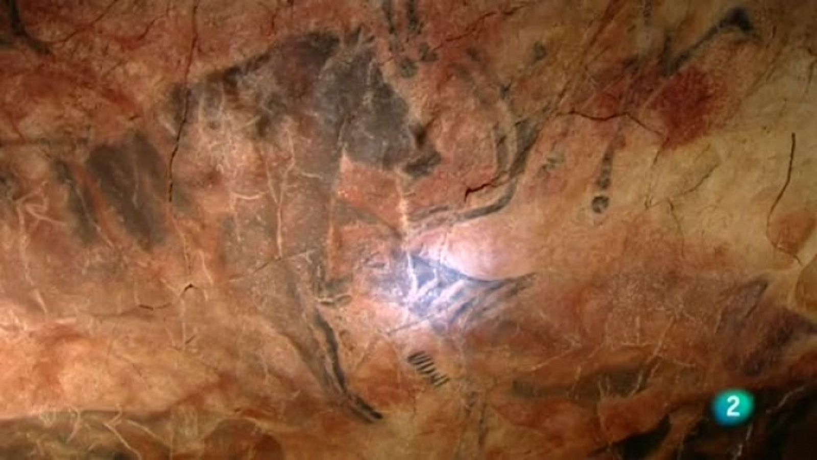 La aventura del saber - 03/11/11 - Ver ahora