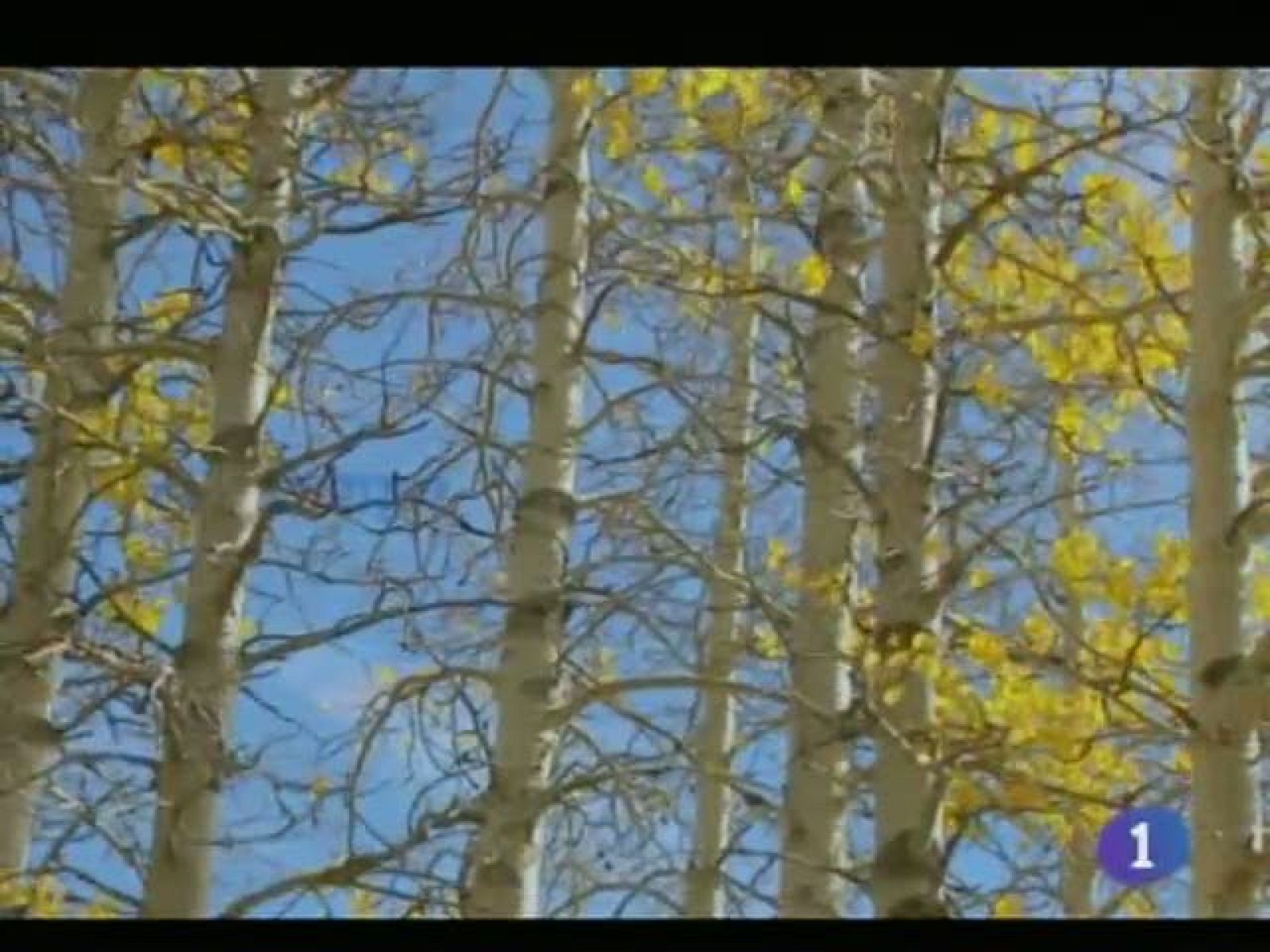 El tiempo en Castilla-La Mancha - 03/11/11 | Ver