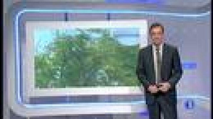 El tiempo - Lluvias fuertes en Cantábrico, Baleares, Estrecho y noreste peninsular