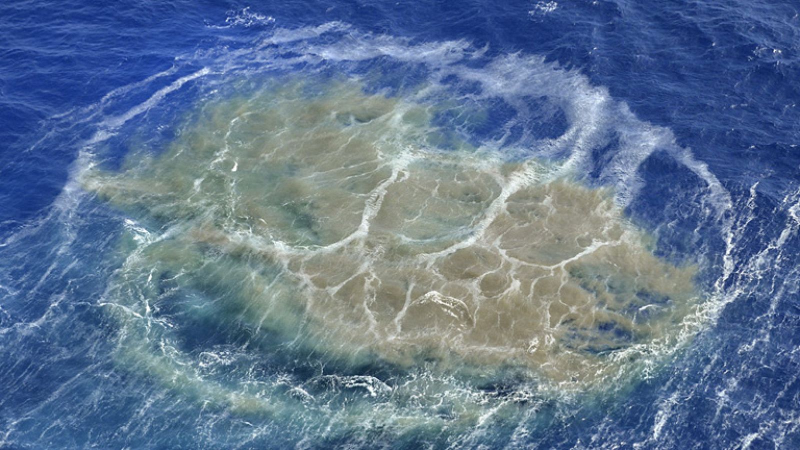 100 especies marinas han desaparecido en la isla de El Hierro