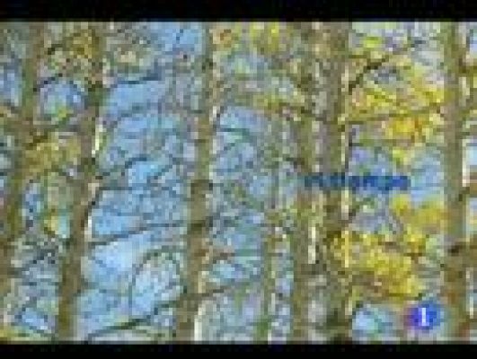 Telecanarias - El tiempo en Canarias - 04/11/11