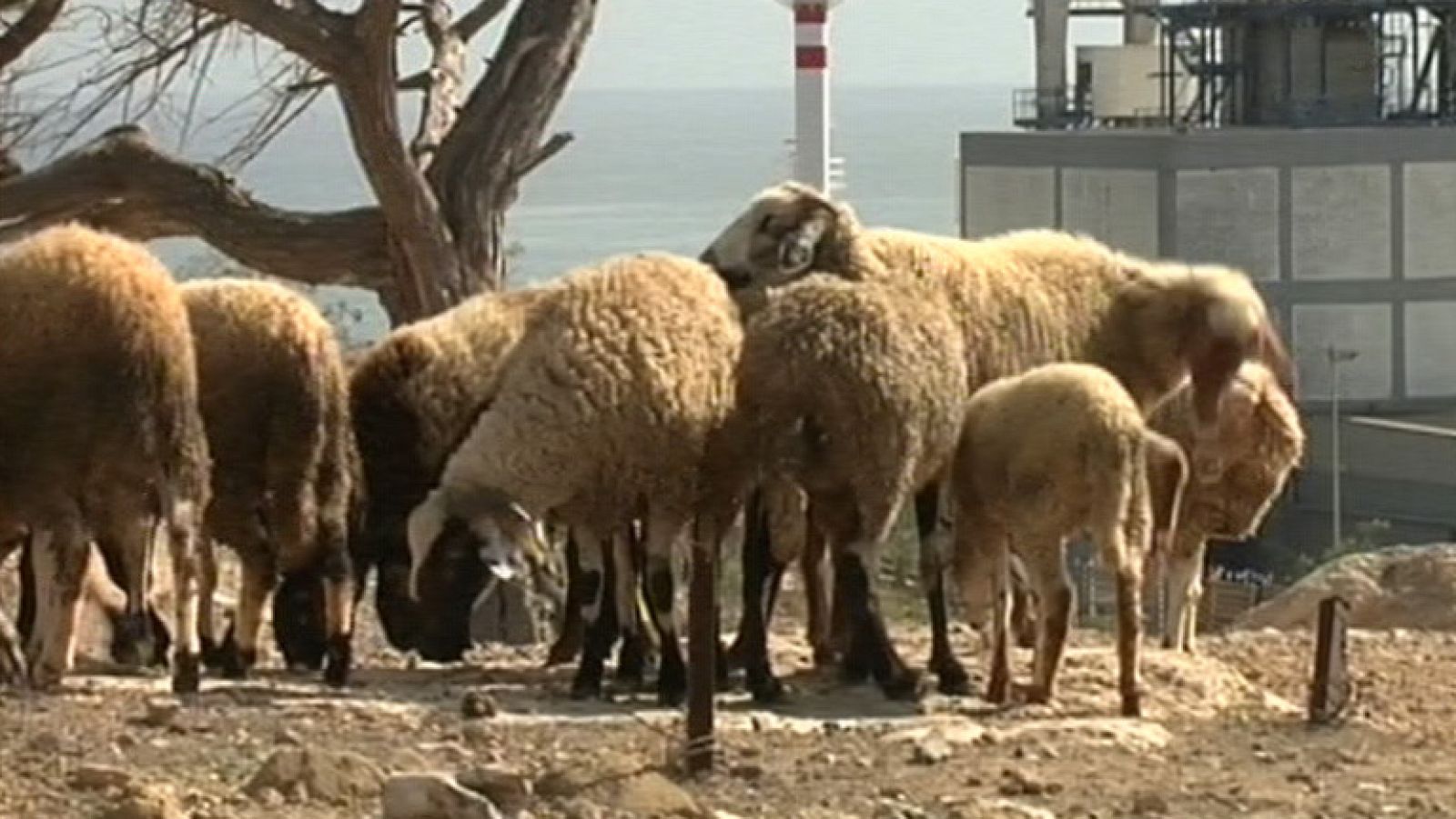 Noticias de Melilla - 04/11/11