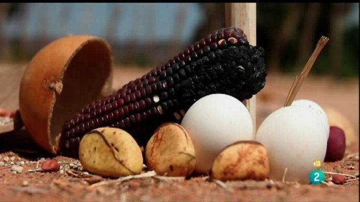 Metrópolis - Le Fresnoy