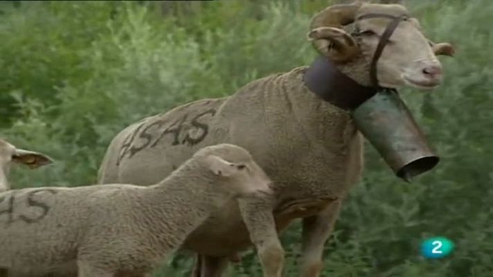 España en comunidad - Trashumancia contra el fuego