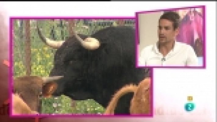 Tendido cero - Tendido cero - 05/11/11