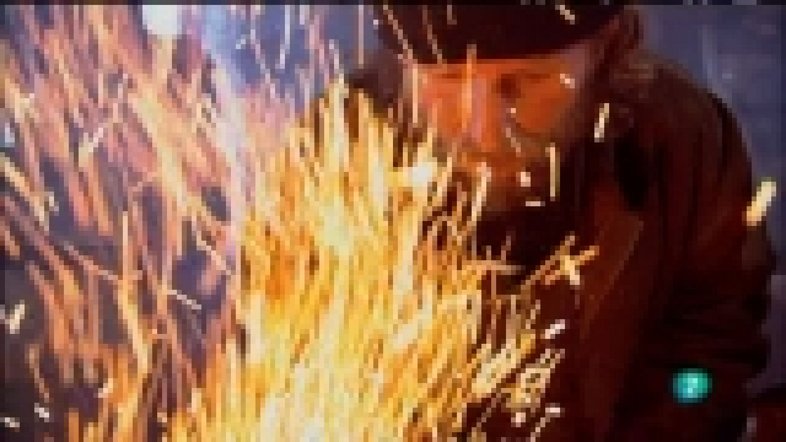 Biodiario - 06/11/11 - Ver ahora