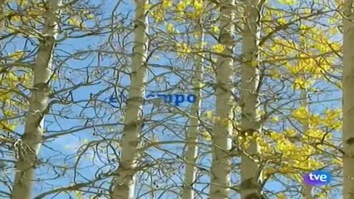 Telecanarias - El tiempo en Canarias - 06/11/11