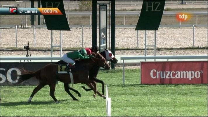 Turf - Turf - 06/11/11