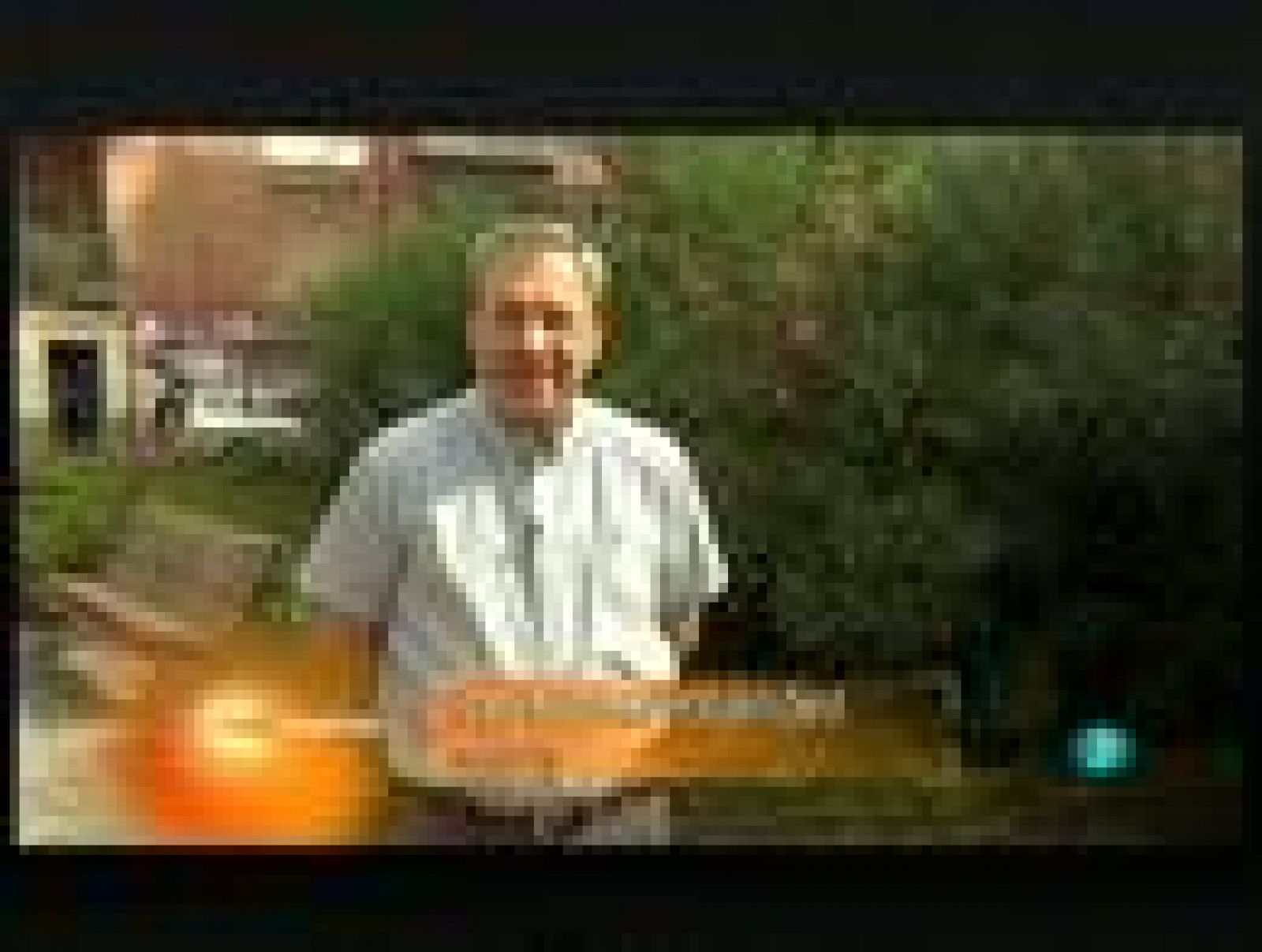 ¿Errores en Teletexto?