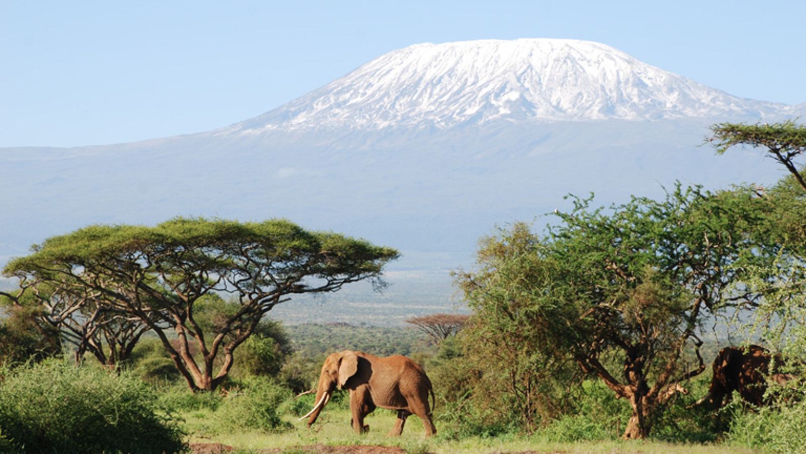 Buscamundos - Kenia y Somalia: placer y dolor de África - Avance - Buscamundos | Ver