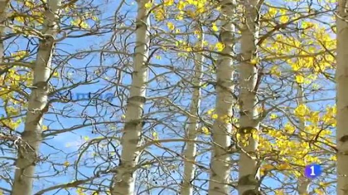 Telexornal - Galicia - El tiempo en Galicia - 08/11/11