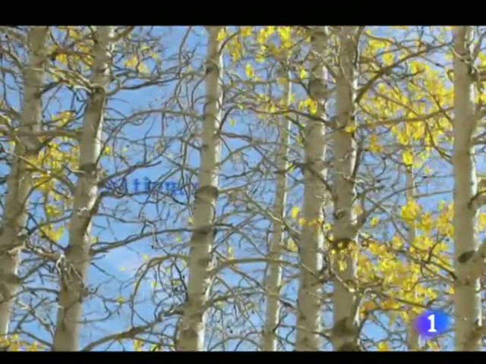 El tiempo en La Rioja - 08/11/11 | Ver