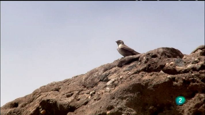 Biodiario - Biodiario - 08/11/11