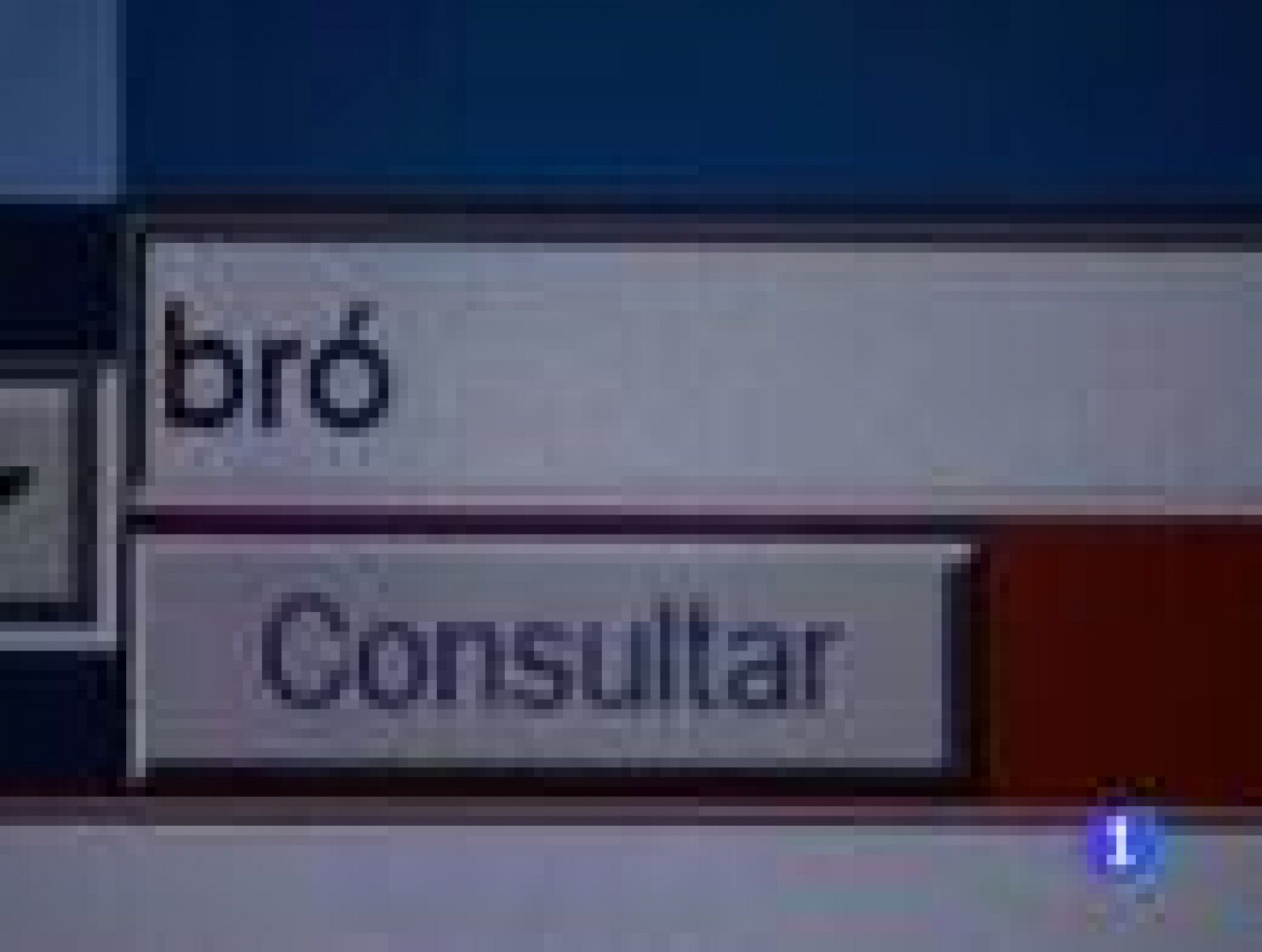 La RAE incorporará unos 1.200 vocablos relacionados con la economía y con la UE