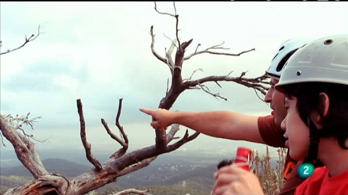 La felicidad (en cuatro minutos) - Tocar el cielo con las manos