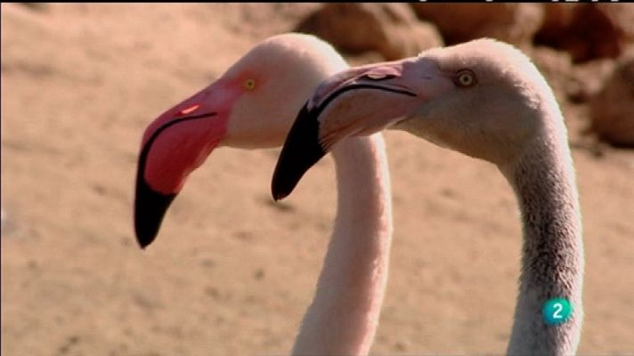 Biodiario - Biodiario - 09/11/11