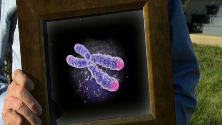 La noche temática - Inmortal - Avance