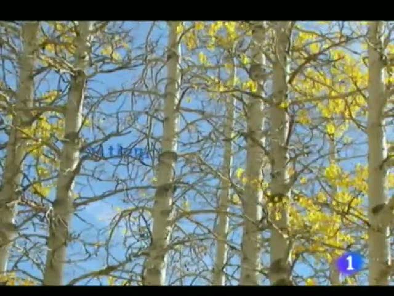 El tiempo en la Región de Murcia.(10/11/2011).