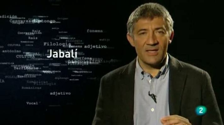 Para todos La 2 - La palabra 'Jabalí'