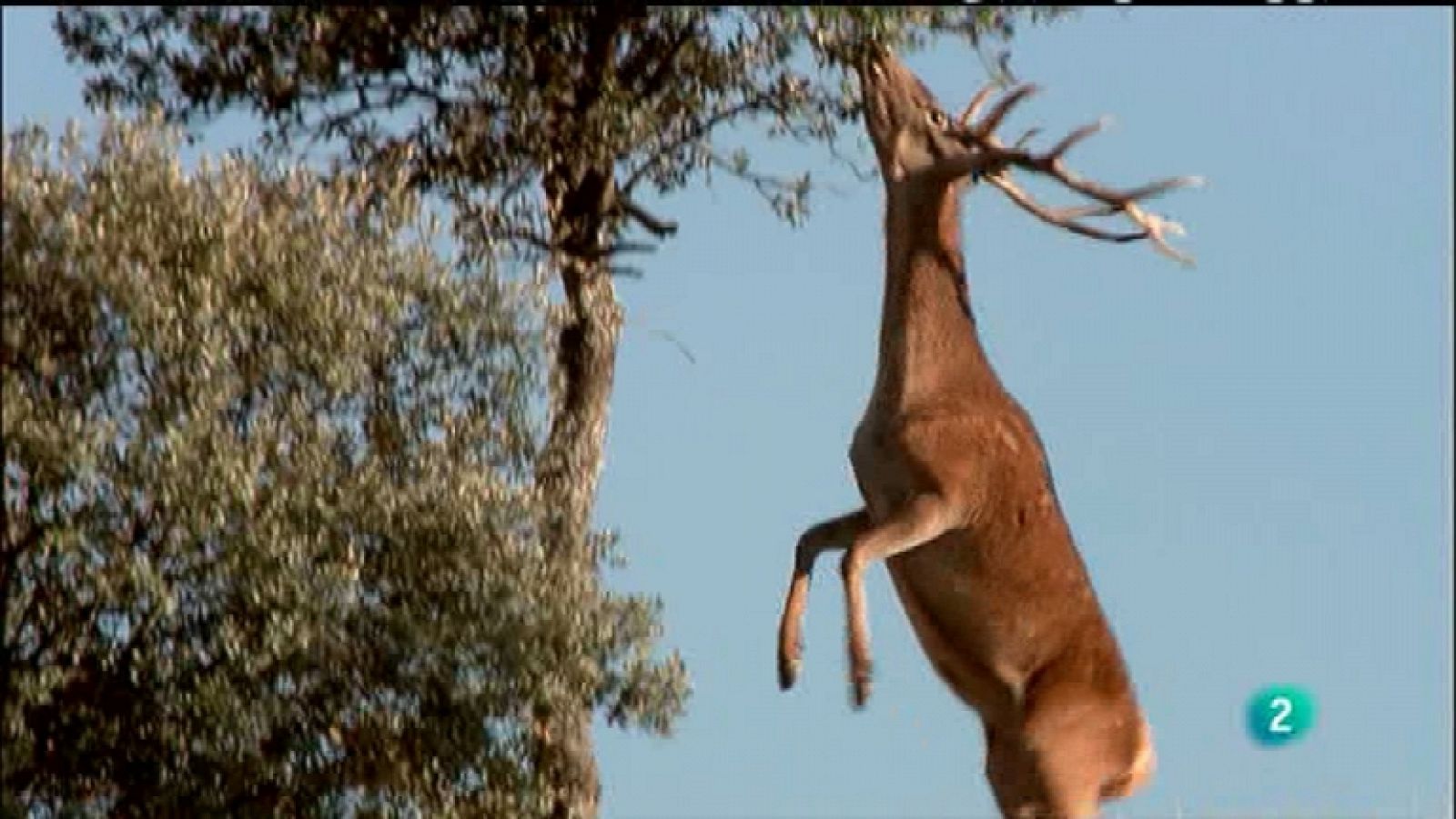 Biodiario - 10/11/11 - Ver ahora