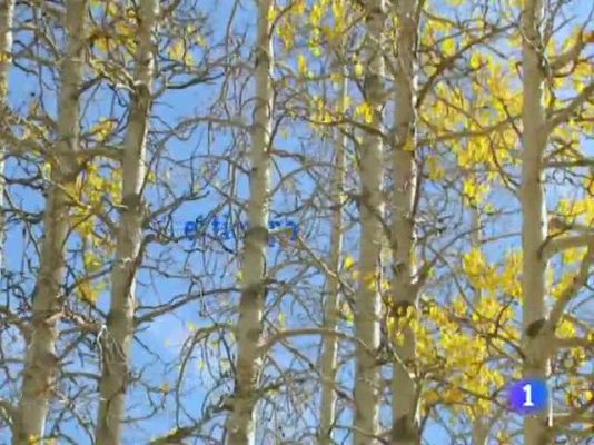 TeleCantabria - El tiempo en Cantabria - 10/11/11