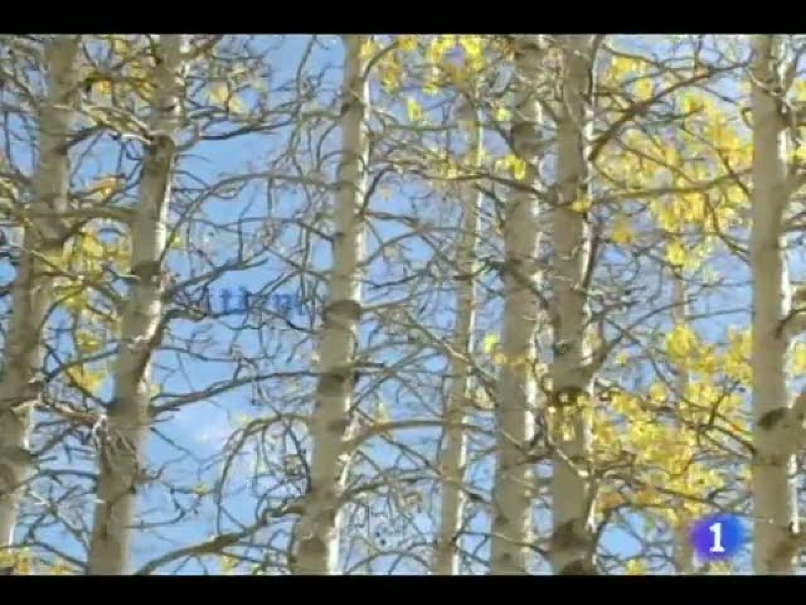 El tiempo en Castilla y León - 11/11/11