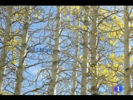 Noticias de Castilla y León - El tiempo en Castilla y León - 11/11/11