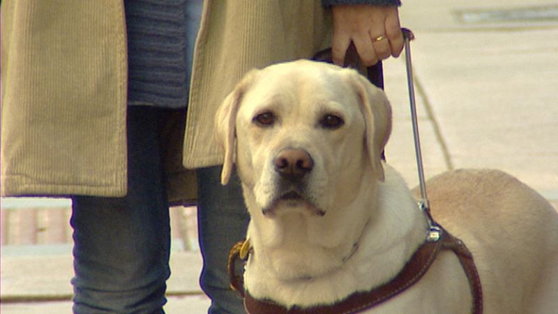 Lo más cotidiano y sencillo puede convertirse en un reto para las personas ciegas