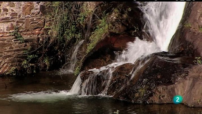 Biodiario - Biodiario - 11/11/11