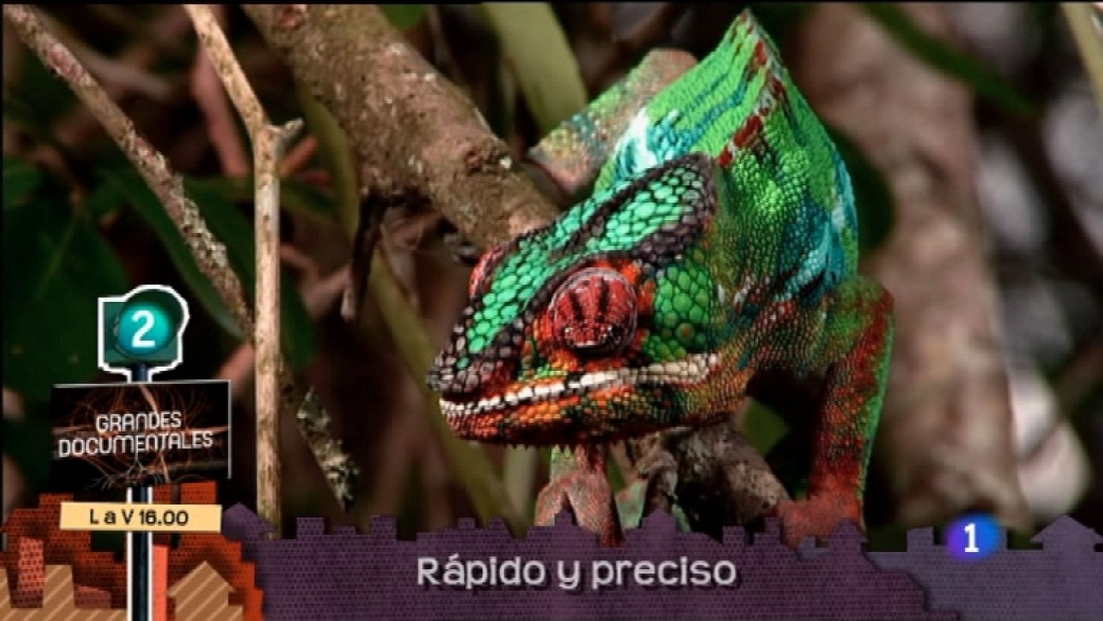 Lo que hay que ver - 12/11/11 - Ver ahora