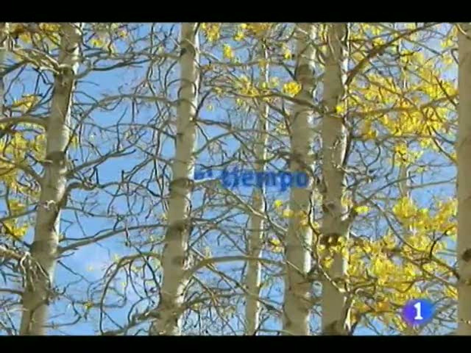 El tiempo en Canarias - 12/11/11