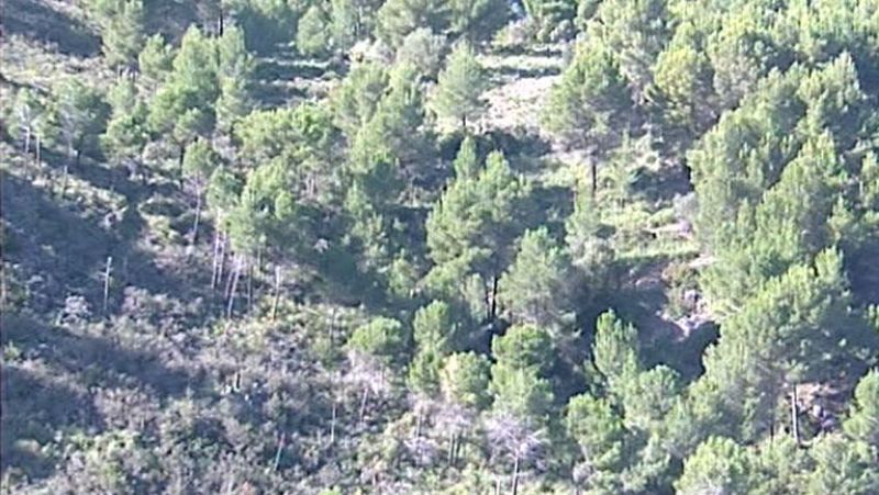 Dos personas han muerto  en Mallorca en un accidente aéreo