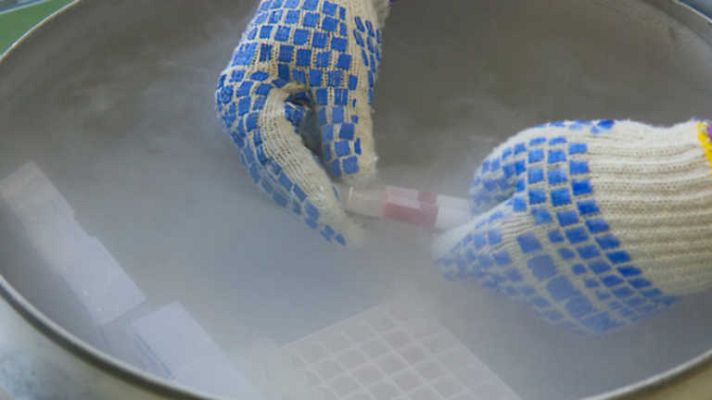 La noche temática - La ciencia del frío