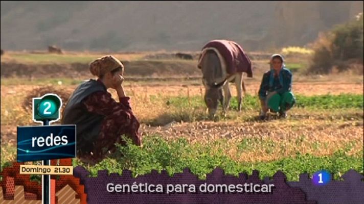 Lo que hay que ver ... - Lo que hay que ver - 13/11/11