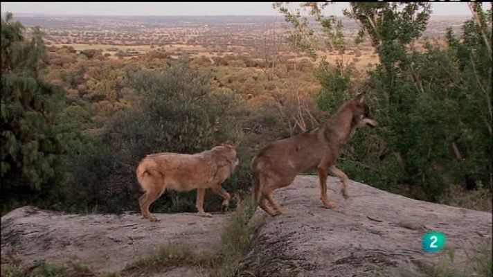 Biodiario - Biodiario - 13/11/11
