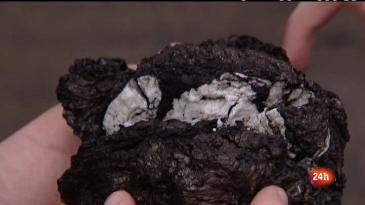 Crónicas - Sobre el volcán