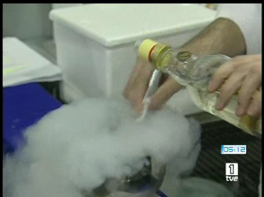  - Innovación en la gastronomía