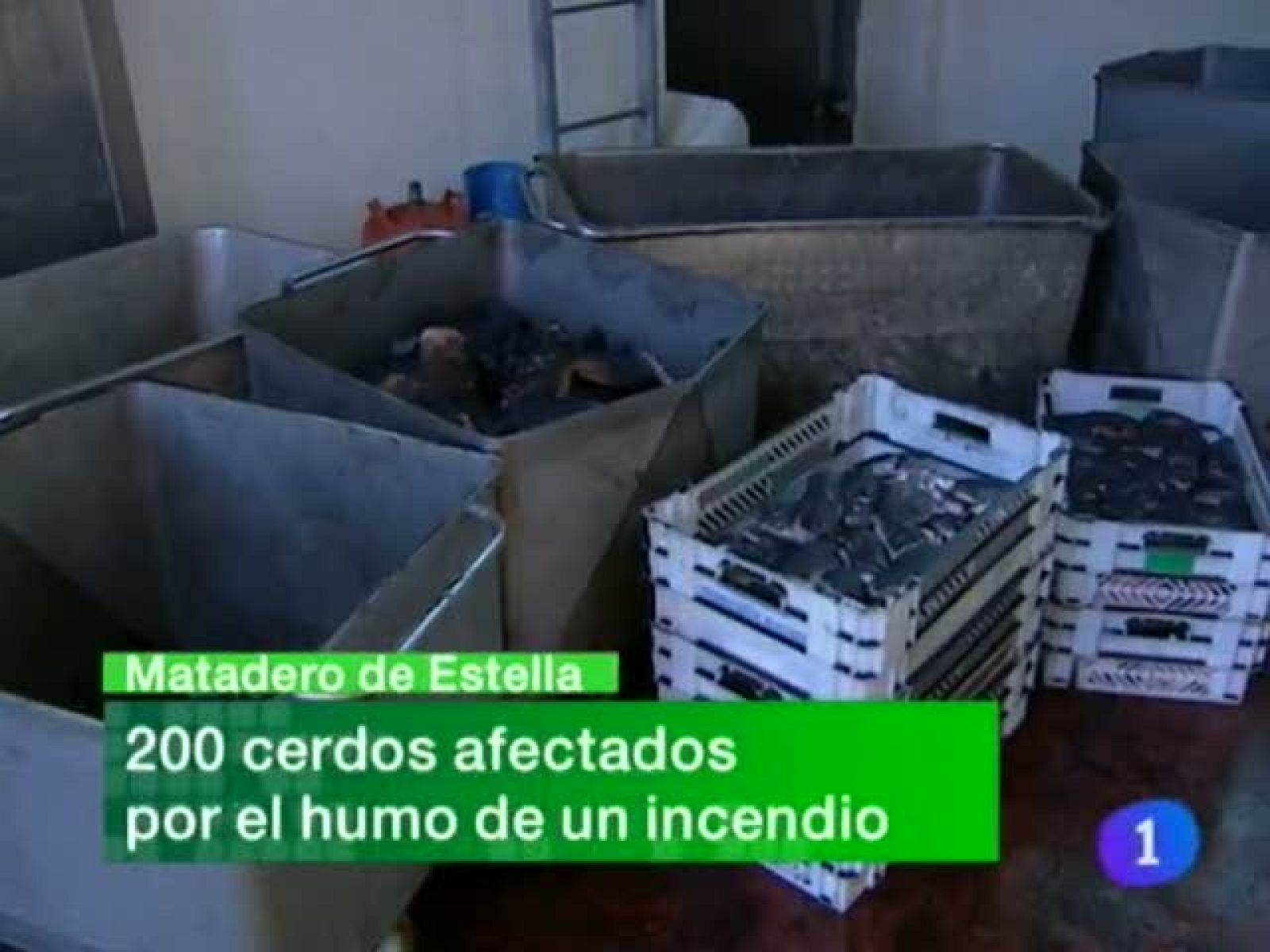 Telenavarra - 14/11/11 | Ver