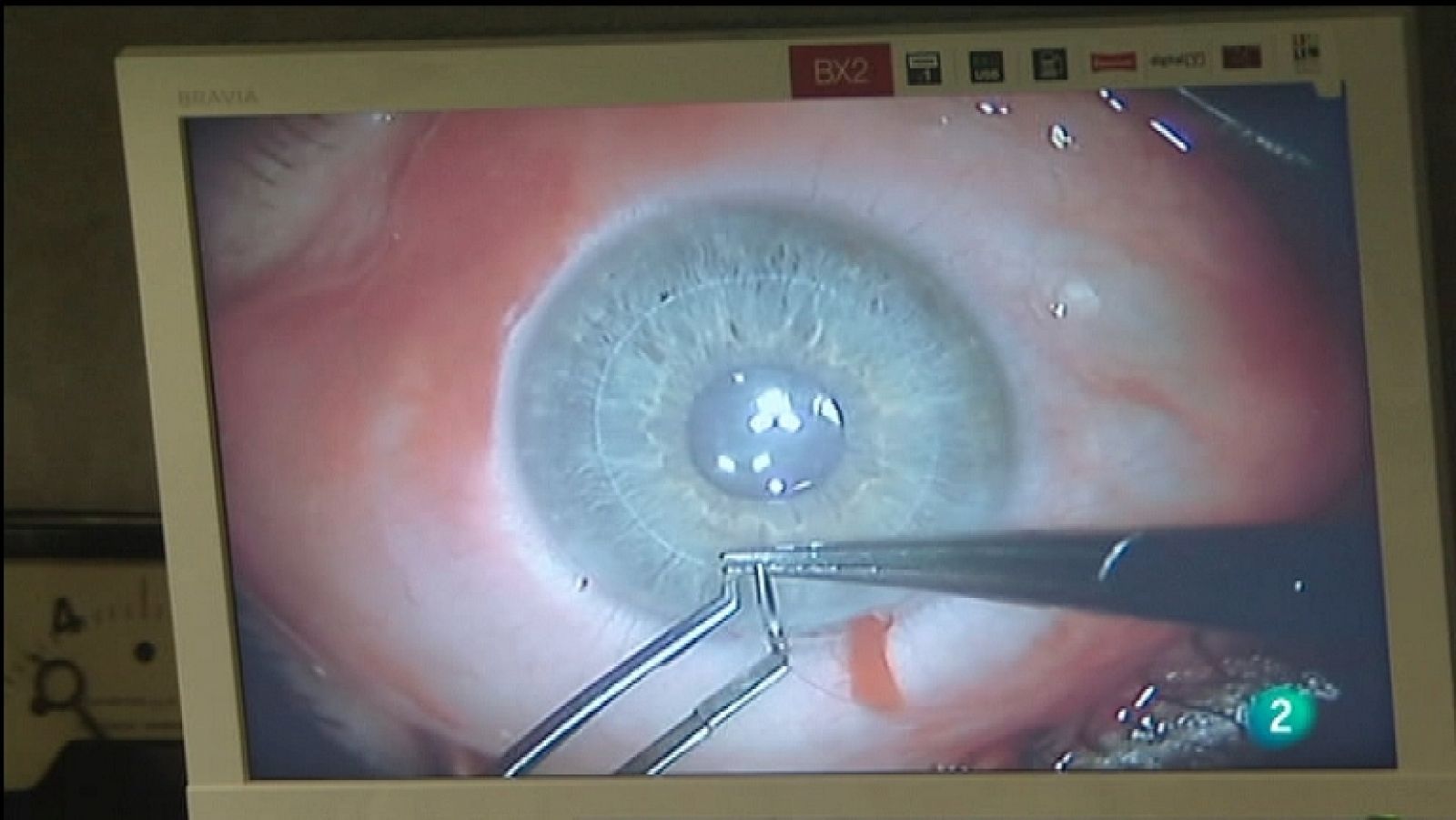 Para todos La 2 - 14/11/11 - Ver ahora