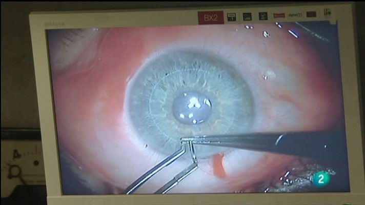 Para todos La 2 - Para todos La 2 - 14/11/11